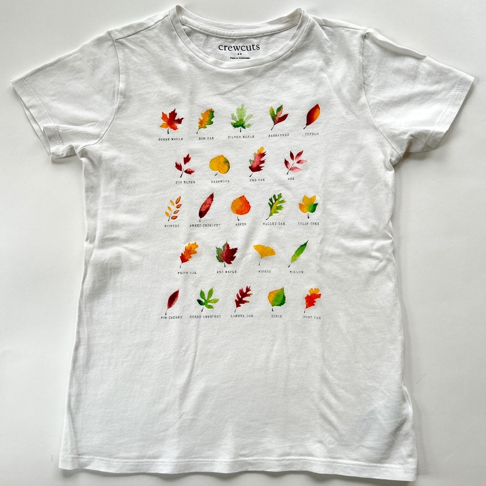 Crewcuts "Fall Leaves" Short Sleeve Tee - Kids L (10-11)